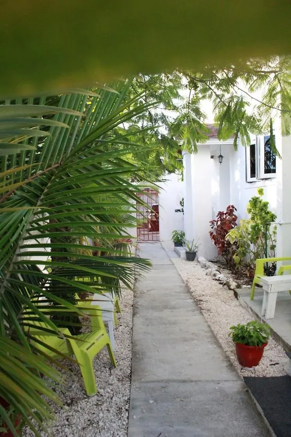 Apartment Bell At The Airport Suites Adults Only - Free Airport Transportation Nassau